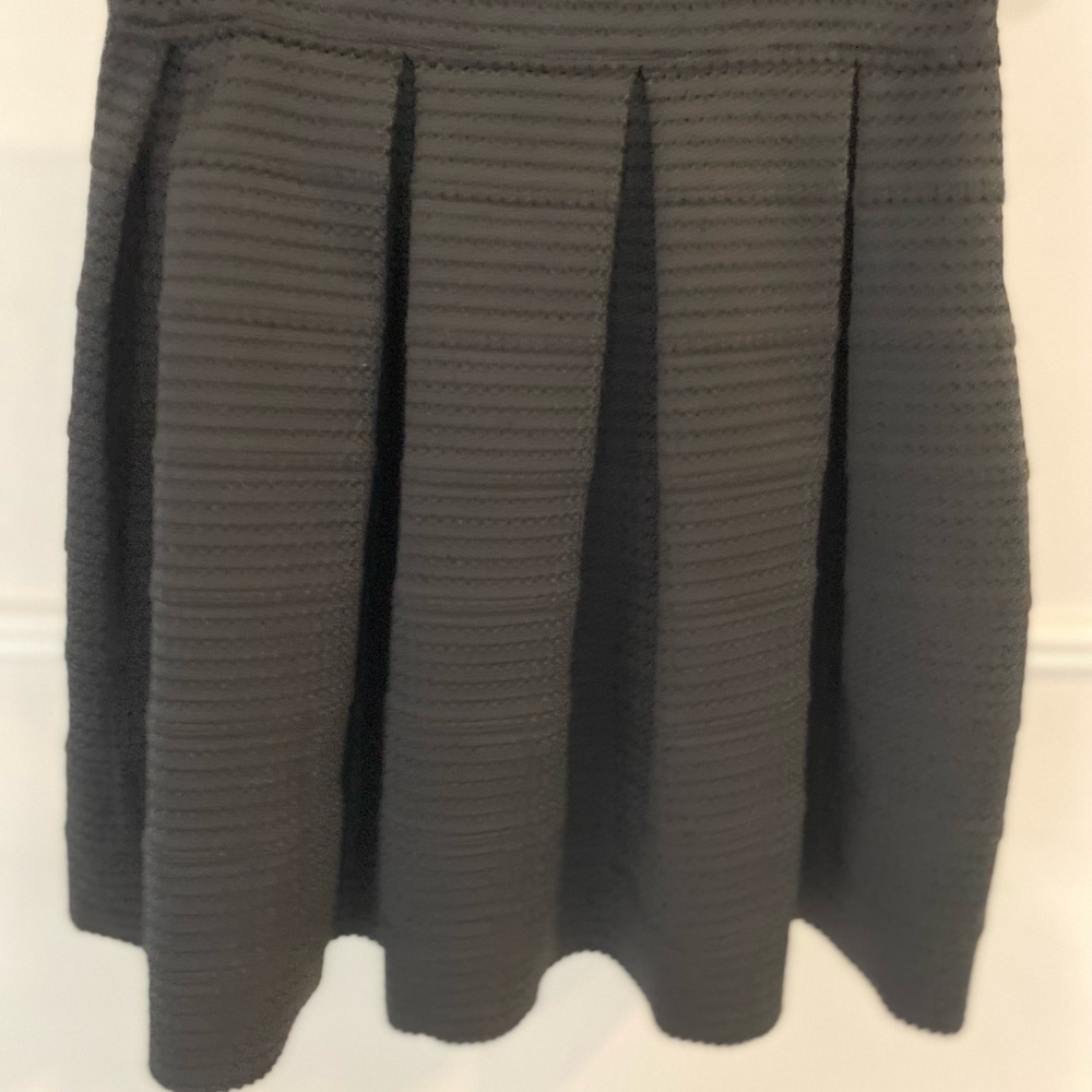 Express Black Pleated Mini Flared Skirt